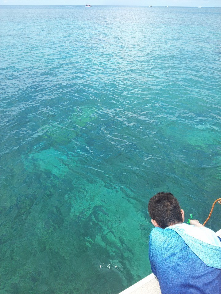 2015/8/31-9/4八重山(西表島、新城島、石垣島)ふらふら新空港見がてら滝とか旅(FACEBOOKまとめ)_b0116271_11333541.jpg