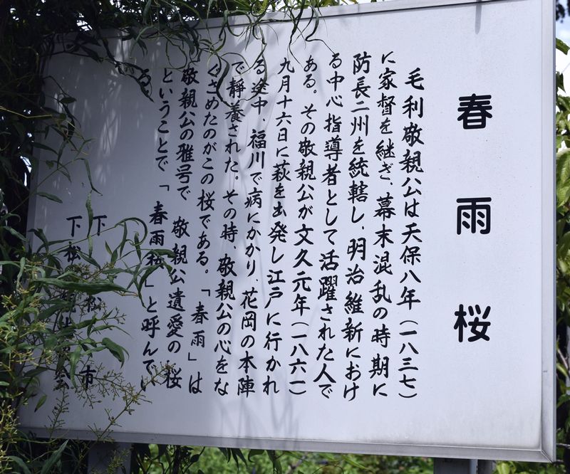 d0061579_9473539.jpg