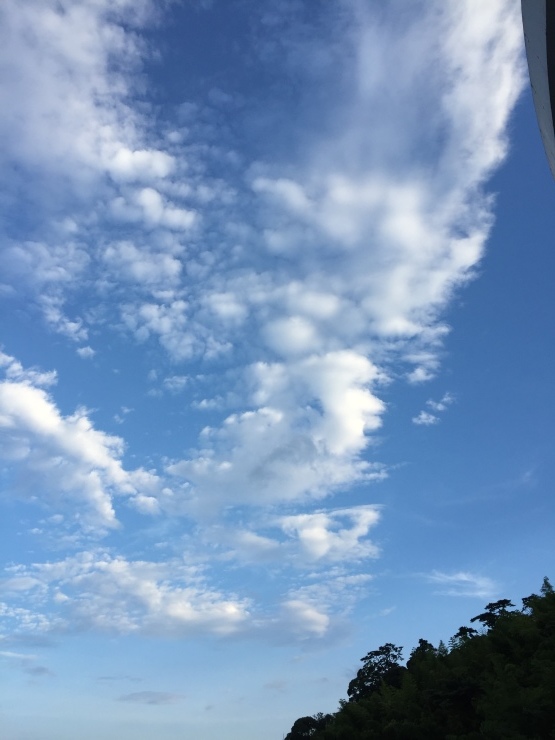 2017年7月12日 夏だった_b0098584_19191806.jpg