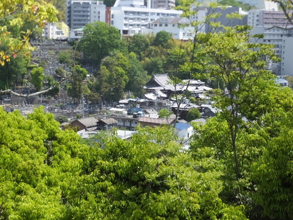e0351590_23194449.jpg