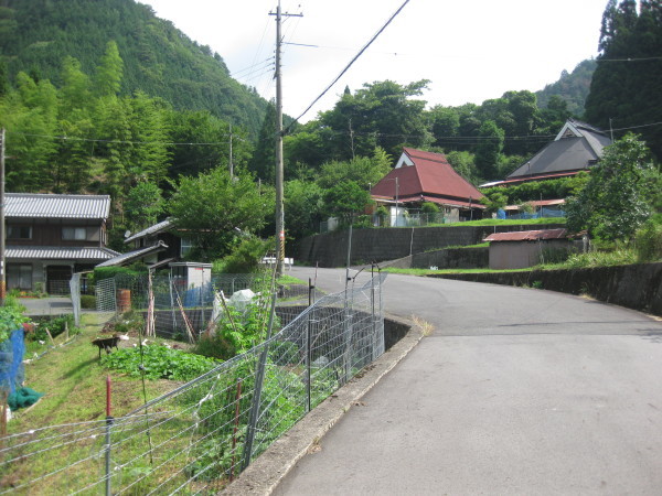 c0266004_17035353.jpg