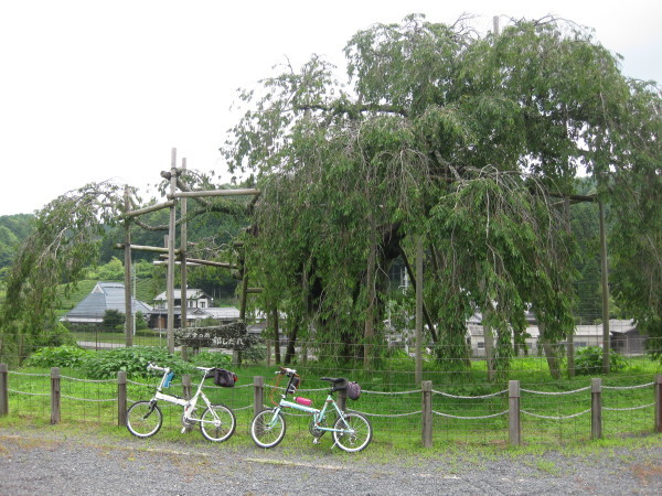 c0266004_17083203.jpg