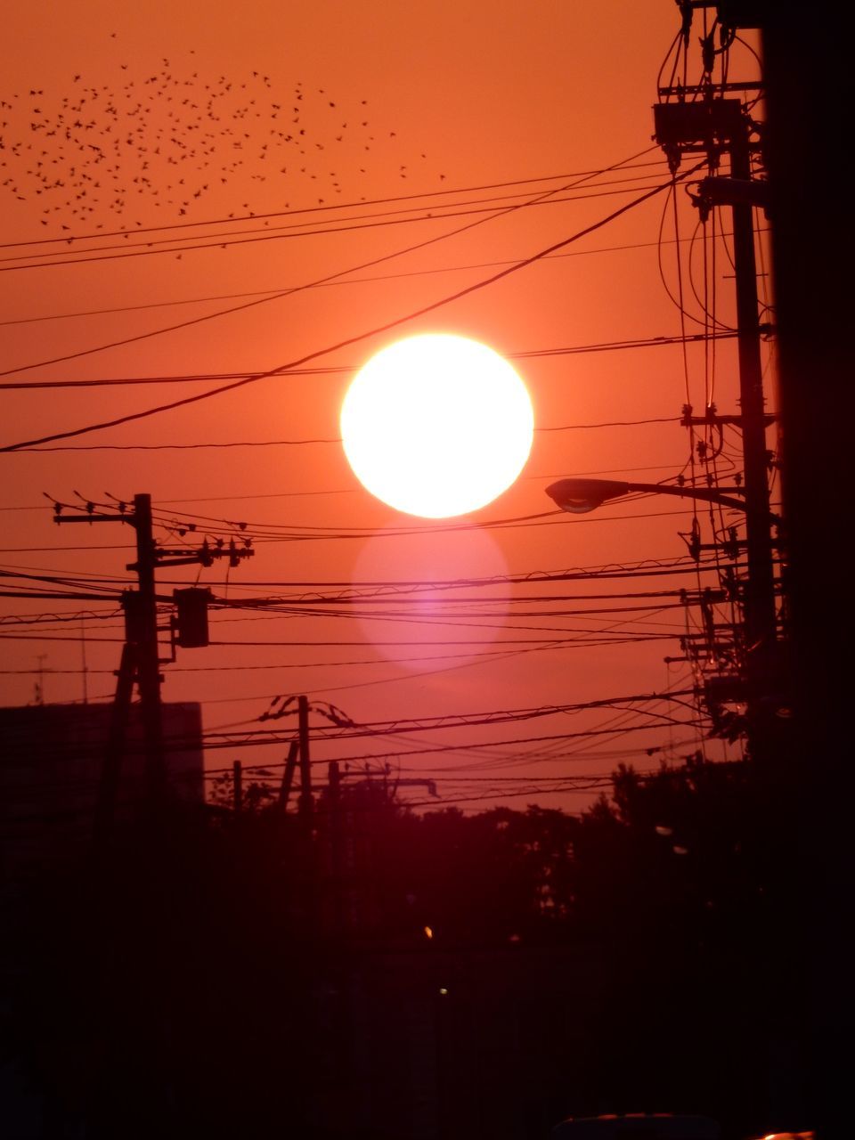 猛暑戻る_c0025115_22415910.jpg