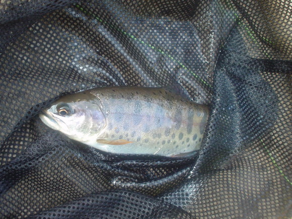 f0280717_13301531.jpg