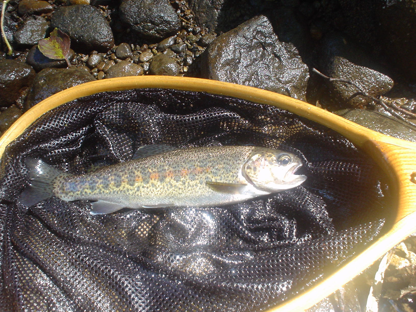 f0280717_13371431.jpg