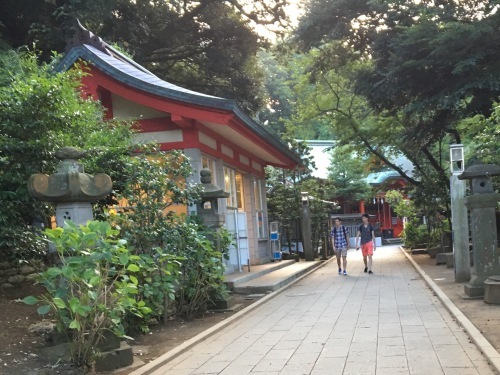 b0330040_00381660.jpg