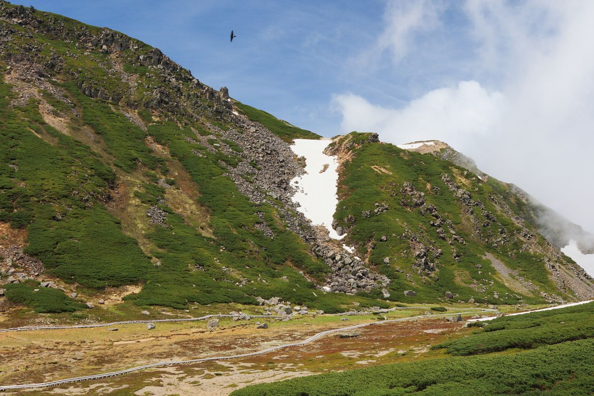 信州の旅４ 乗鞍岳畳平_b0184848_2072395.jpg