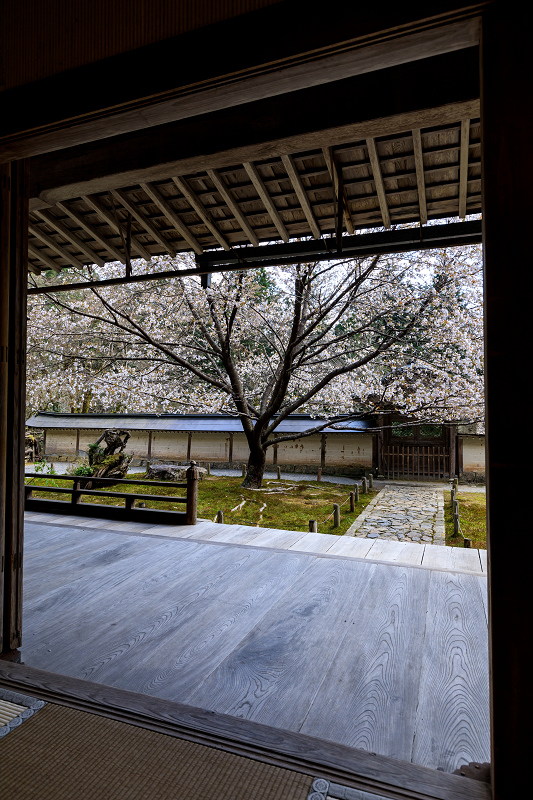 京都の桜2017 常照皇寺の桜たち_f0155048_234074.jpg