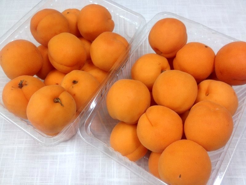 ☆美味しいオレンジ色・杏ジャム☆_c0092953_6372581.jpg