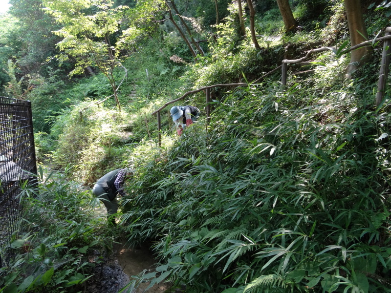 c0108460_16293807.jpg
