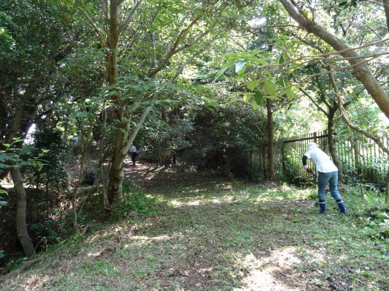 c0108460_16304109.jpg