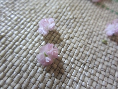 マイピンク 森のかすみ草 マイピンク 森のかすみ草