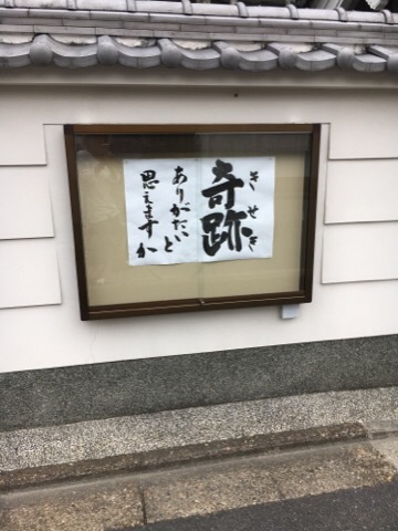 夕方の賀茂川と高野川_f0363168_08304551.jpg