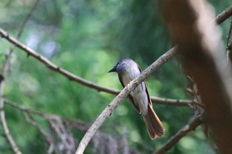 f0378282_16143144.jpg