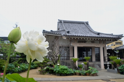 c0229483_1115452.jpg