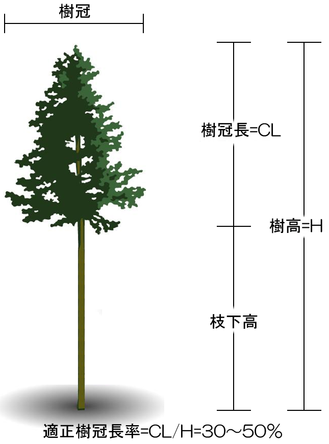 c0170789_09134336.png
