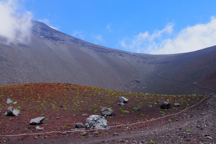 b0035391_20221457.jpg