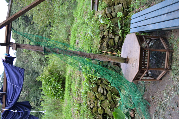 e0017396_21504750.jpg