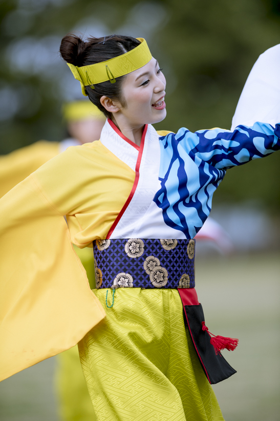 能登よさこい祭り2017_f0184198_15022486.jpg