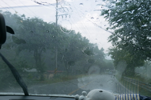 a0140305_01381691.jpg