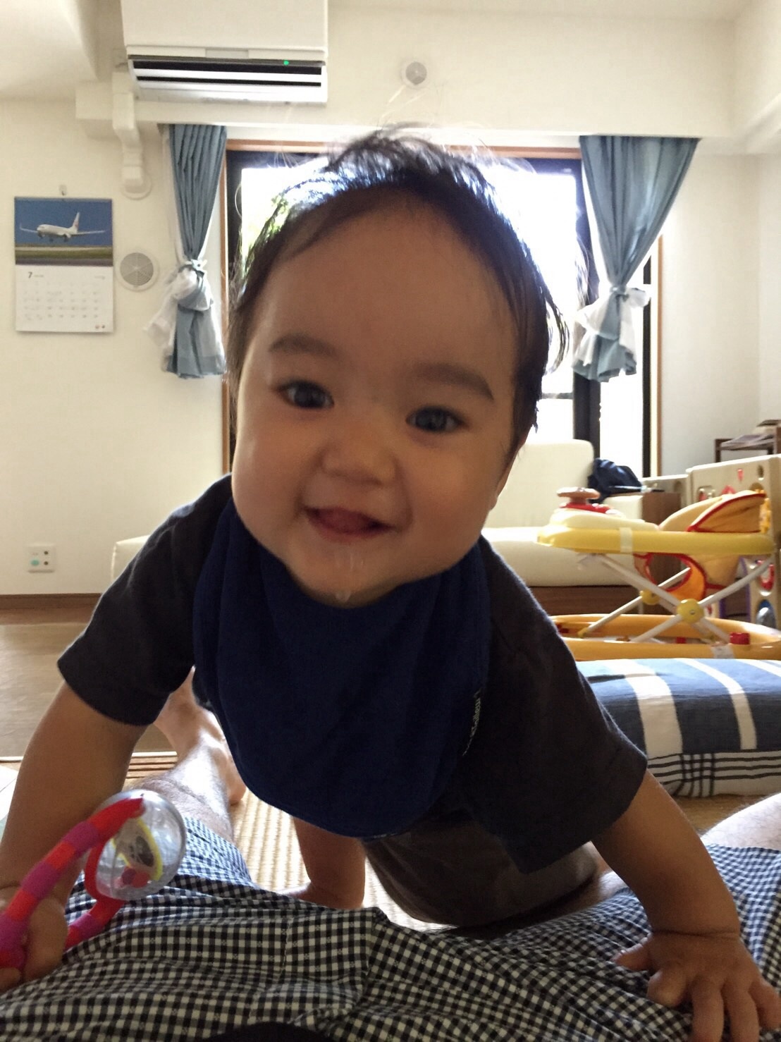 来週一歳。_d0026206_12251825.jpg