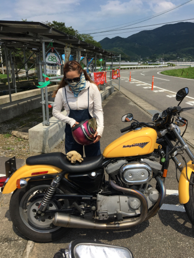 四国の旅!!その5_a0110720_02365425.jpg