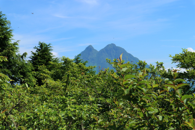 倉木山＆雨乞山麓での花散策！_e0272335_171787.jpg