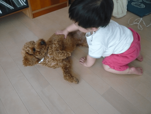 猛暑、酷暑とにかく暑い_c0365341_20373484.gif