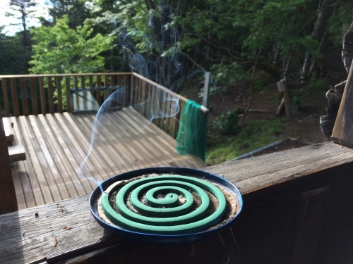 7月13日_c0369344_06520322.jpg