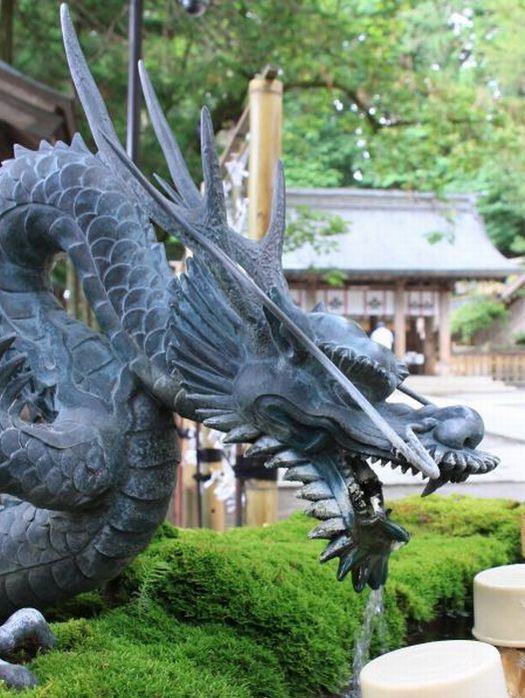 龍の角は、鹿の角』 : 龍人鳥の徒然フォト日記