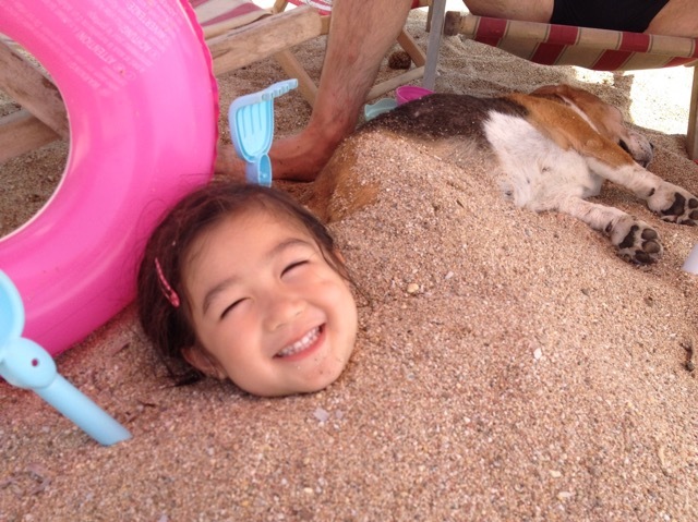 b0069848_06234312.jpeg