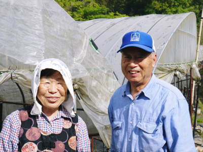 種なしかぼす 平成29年度はお盆過ぎの初出荷予定です。今年も順調に成長中!_a0254656_18253784.jpg