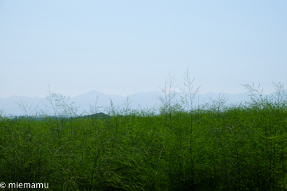 d0340565_20011282.jpg