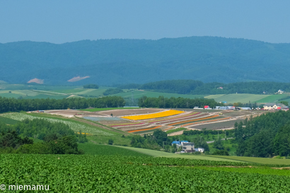 d0340565_20014201.jpg