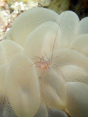 「久々の生物にいろいろ会えた!」_b0033573_20123251.jpg