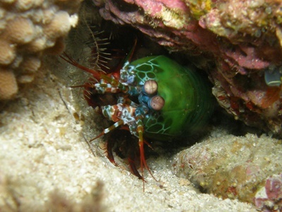 「久々の生物にいろいろ会えた!」_b0033573_20124390.jpg