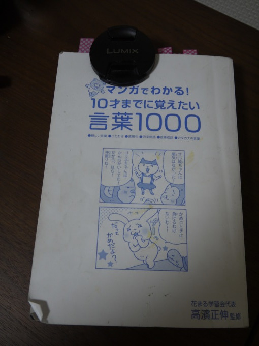 ことばの意味を調べるときに使うものは？_c0109174_21574342.jpg