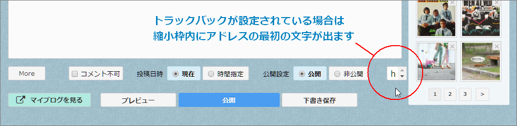 a0349576_10092209.png
