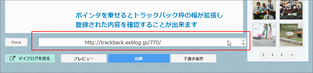 a0349576_10122236.png