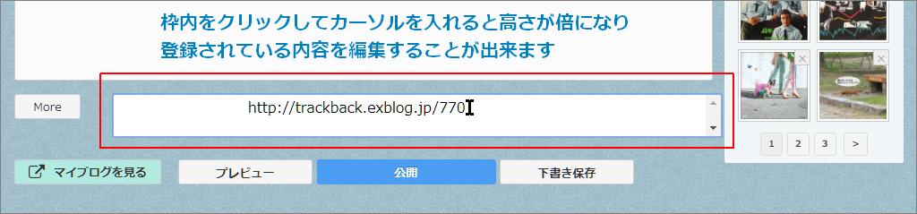 a0349576_10160026.png