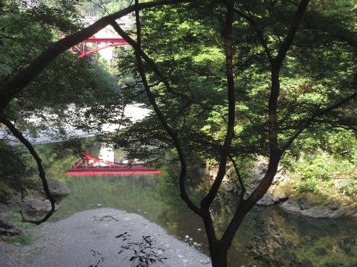多摩川と日原川の赤い橋_c0051781_131759.jpg