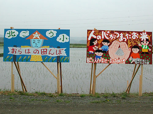 農業体験交流の声~平成20年緑ヶ丘小卒業生より②~ _d0247484_11182563.jpg