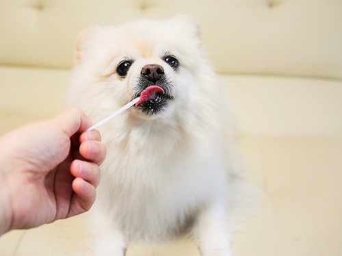 涼を楽しもう_d0360206_22201935.jpg