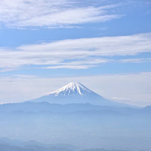 花と眺望の山、そして深田久弥氏終焉の地～2017年5月 茅ヶ岳_d0372906_17542252.jpg