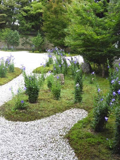 盧山寺　紫式部邸跡_e0048413_20523191.jpg