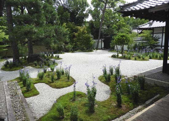 盧山寺　紫式部邸跡_e0048413_20525123.jpg