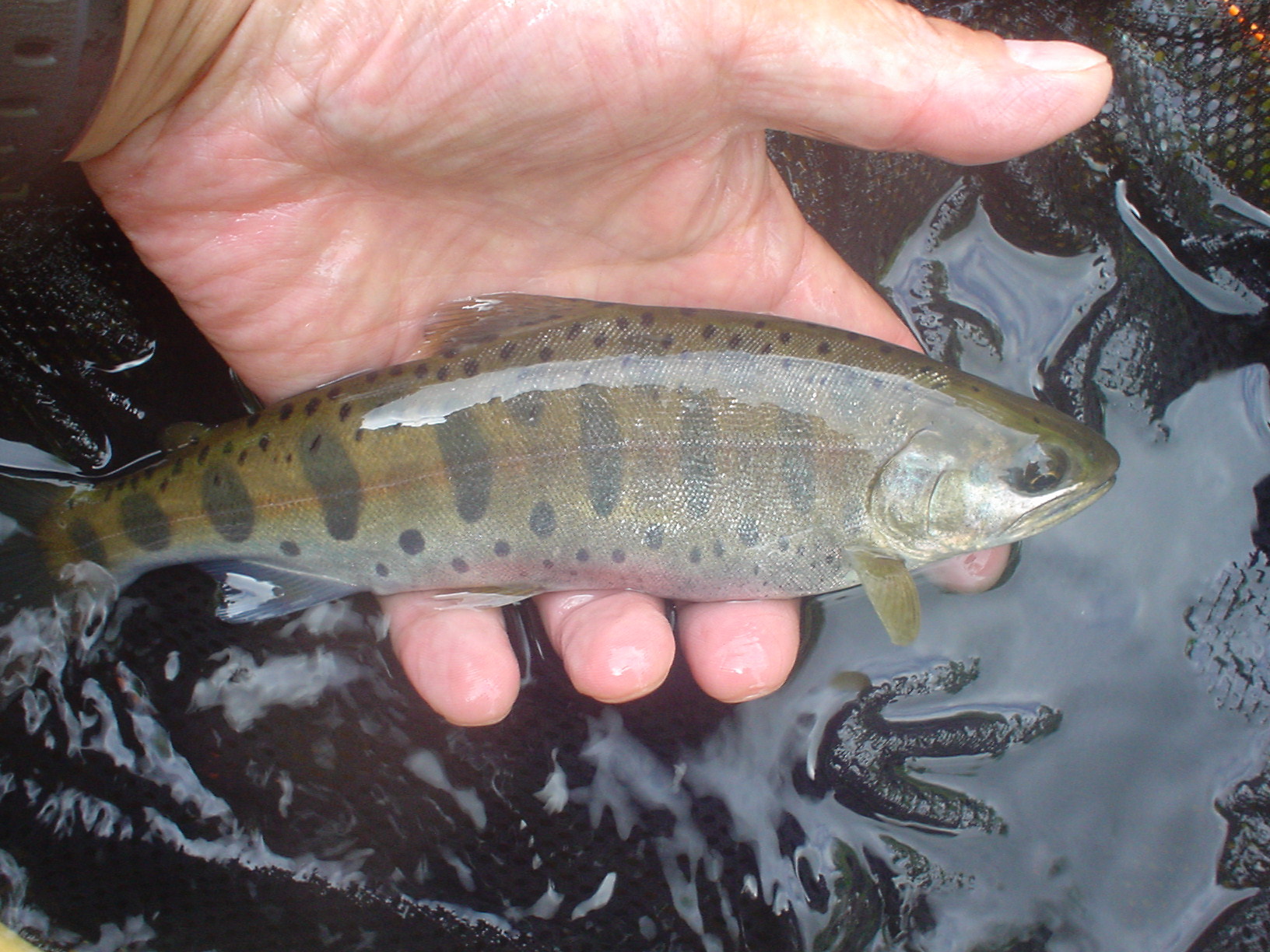 f0280717_10473164.jpg