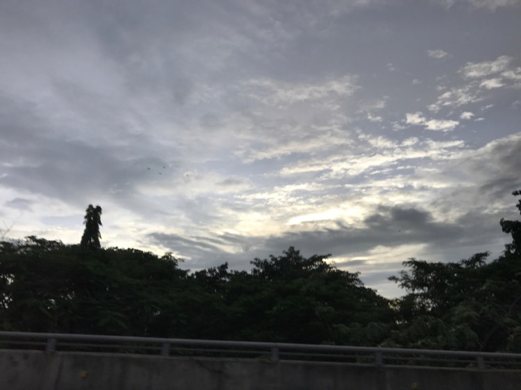 e0069433_06465486.jpg