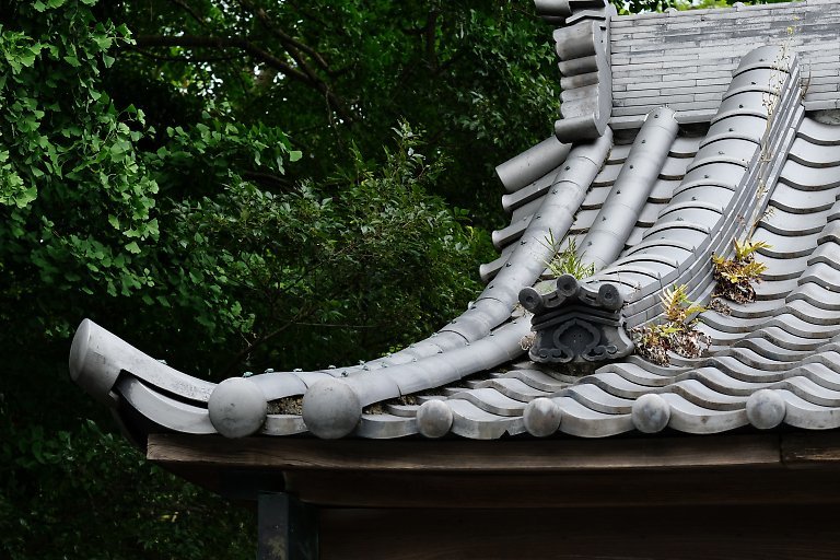 長勝寺（７月１３日）_c0057265_15440298.jpg