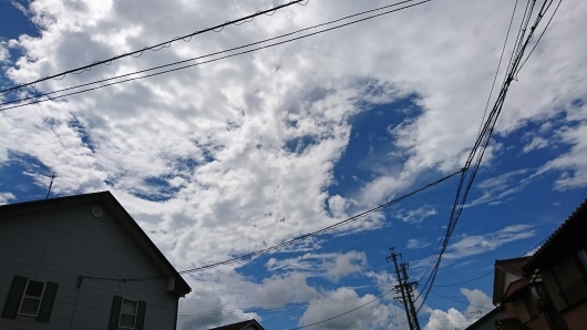 d0362666_15231990.jpg